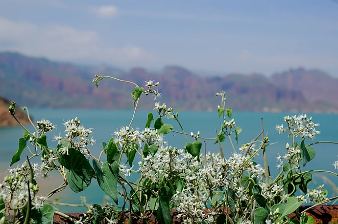 在<a href='http://travel.sina.com.cn/qinghai-lvyou/?from=b-keyword' target='_blank'>青海</a>，浊浪滔天的黄河也可以如此清澈美丽