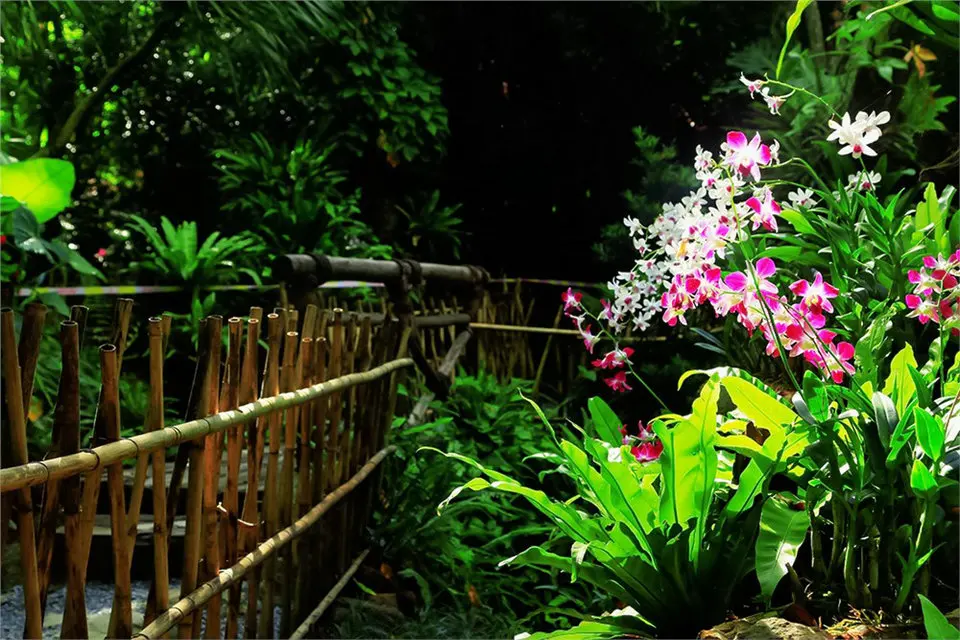 呀诺达雨林文化旅游区