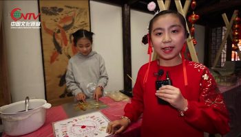 天津娃娃庙会 讲好中国故事 弘扬传统文化