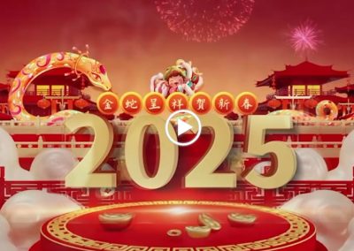 十年回顾，十年经典——2025第十一届中国文化视窗全球春晚嘉年华8小时直播倒计时宣传片