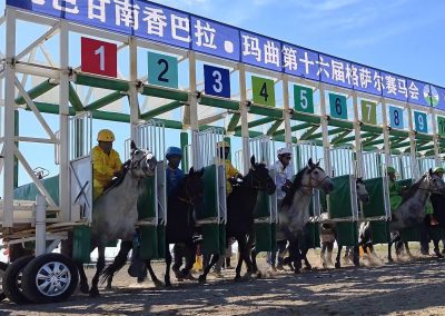 超燃！千匹骏马巅峰对决！九色甘南香巴拉·玛曲第十六届格萨尔赛马会震撼来袭