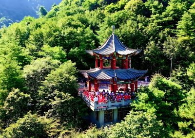 舟曲：红豆杉下景色新