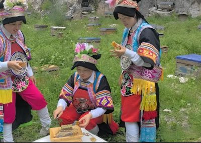 舟曲：群众致富有“蜜”方