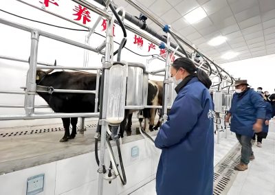 合作：牛羊产业“链”起乡村振兴致富路