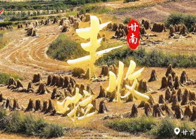 高原丰收季，甘南的秋日颂歌