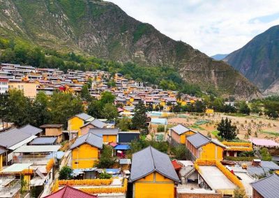 白龙江畔玉米灿