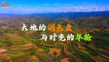 临潭梯田：大地的调色盘与时光的年轮