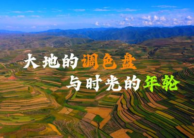 临潭梯田：大地的调色盘与时光的年轮