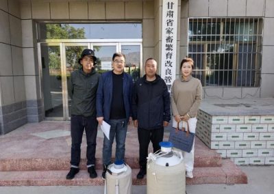 五千只甘南牦牛冻精移交至国家种质资源中心基因库