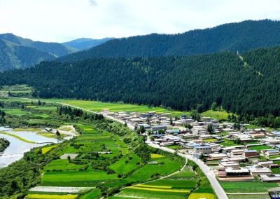 “十四五”期间甘南州营造林464000亩 修复退化草原6986000亩