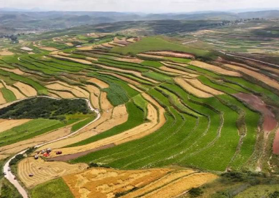 甘南：筑牢粮食安全“压舱石”