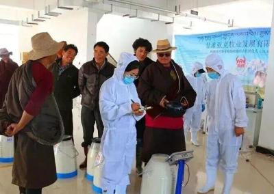 玛曲：党建引领促振兴 特色产业富村民