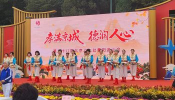 孝满京城・德润人心！第三十八届北京八大处重阳游山会 10.29 温情启幕，非遗、义诊、孝亲体验解锁秋日暖心时光