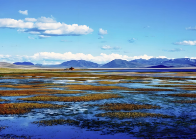 甘南：绘就县域经济高质量发展新画卷