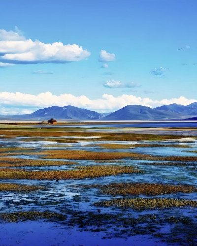 甘南：绘就县域经济高质量发展新画卷