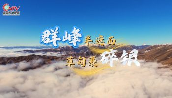 群峰半遮面，草甸裹碎银