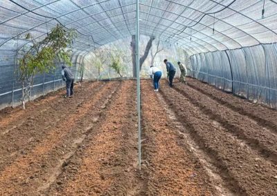 舟曲：羊肚菌种出乡村振兴好“钱”景