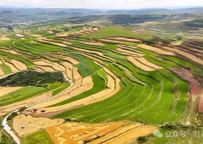 【巩固拓展脱贫攻坚成果同乡村振兴有效衔接】甘南：以产业振兴撬动乡村全面振兴